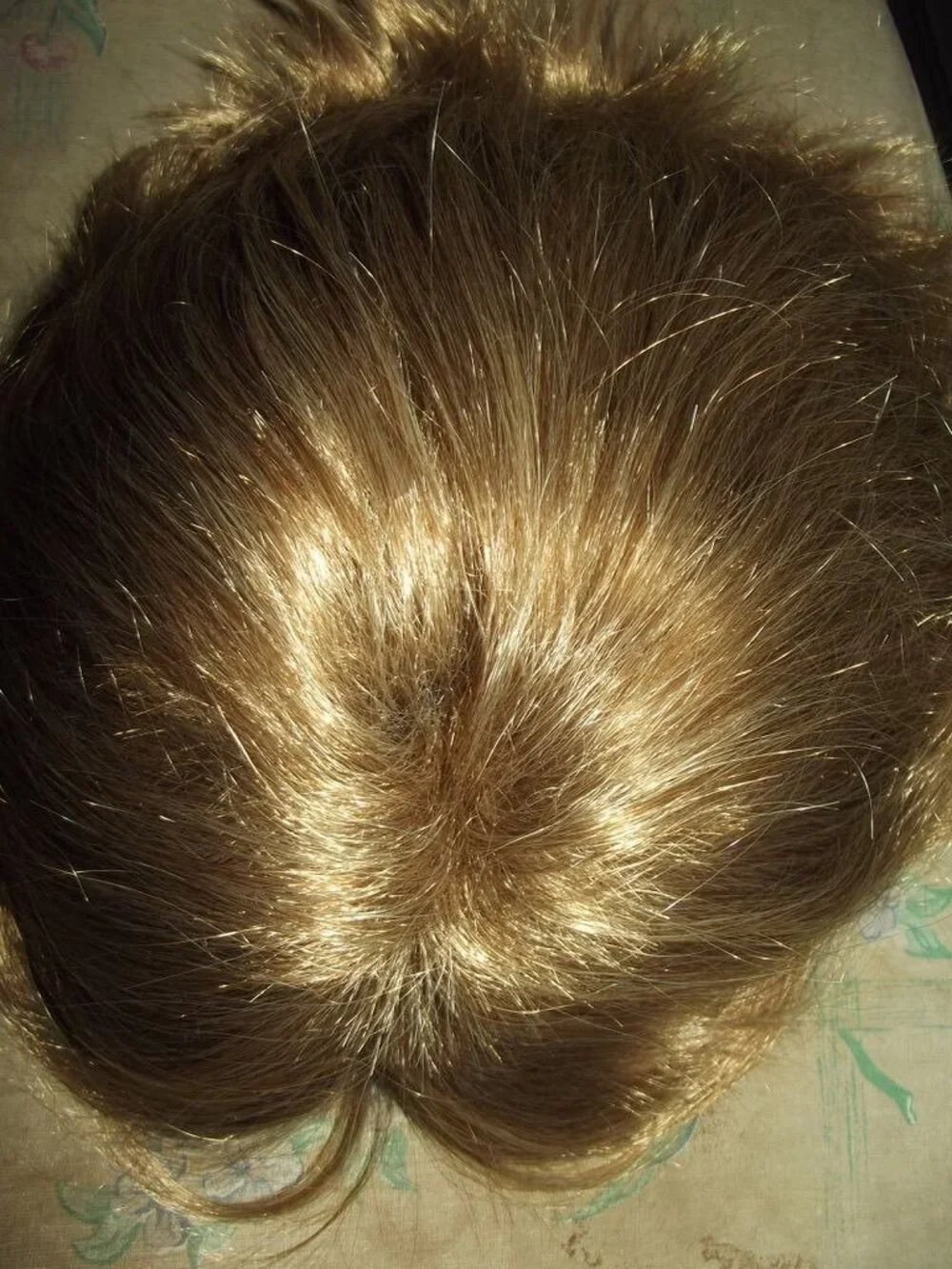 Daiaces Wig D2002 Light Brown with Highlights Layered short